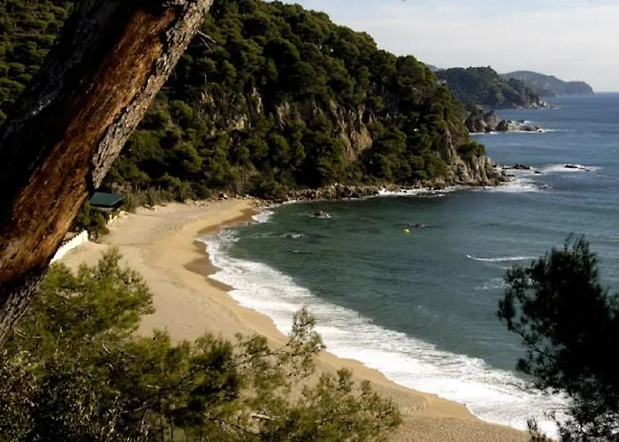 Lloret Sun מלון 2*